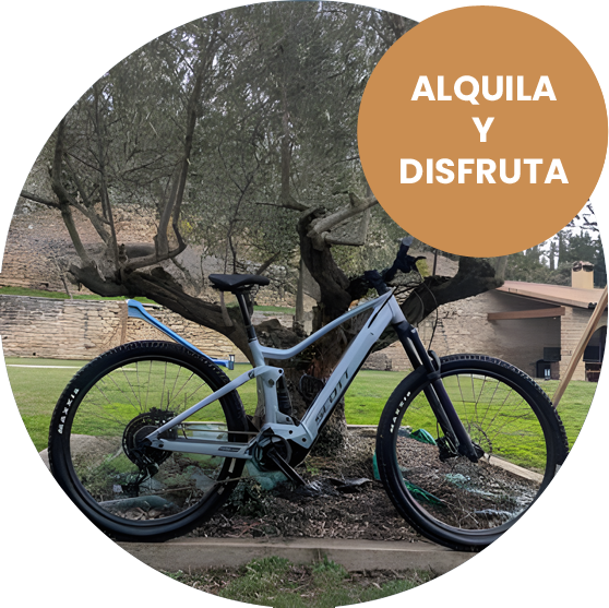 Casa Fernando Egea - alquila y disfruta